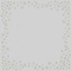 Kaila Embossed Floral