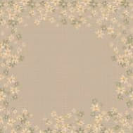 Kaila Ummumusa Flower